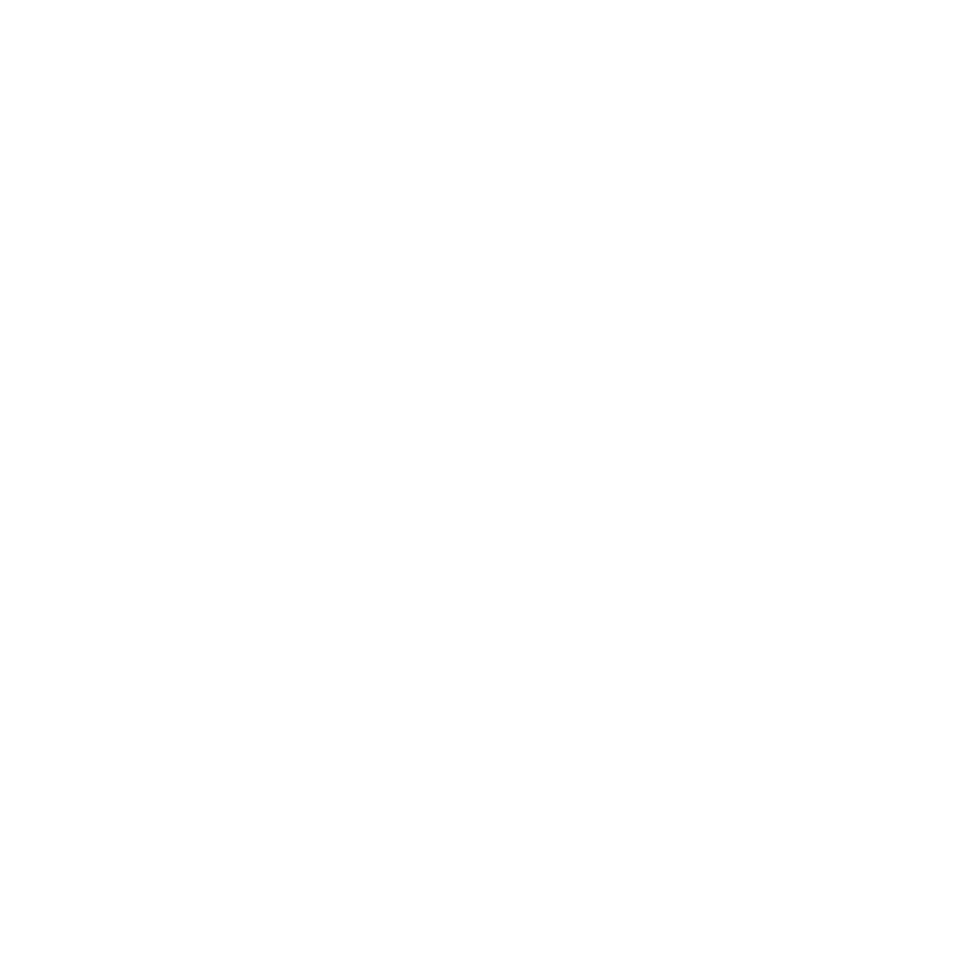 Brows by Rosie